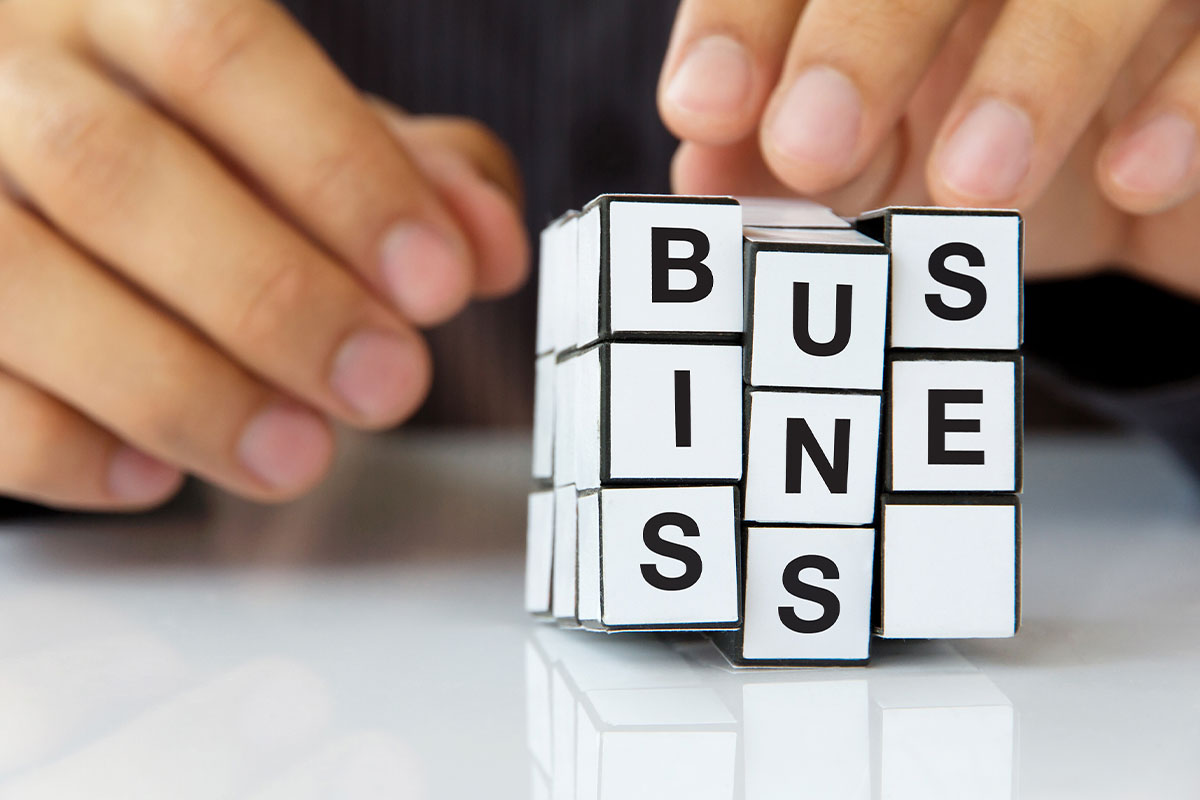 Desarrollo y viabilidad de negocios