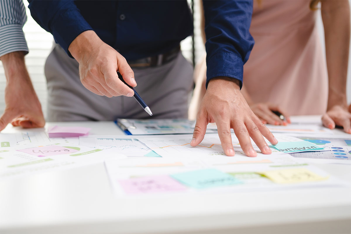 areas de experiencia huma